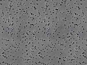 Membránový filtr Cyclopore z polykarbonátu, Whatman